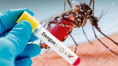 पूर्वोत्तर में डेंगू से मचा हाहाकार, अब तक 1200 से ज्यादा मामले
