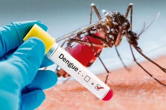 पूर्वोत्तर में डेंगू से मचा हाहाकार, अब तक 1200 से ज्यादा मामले