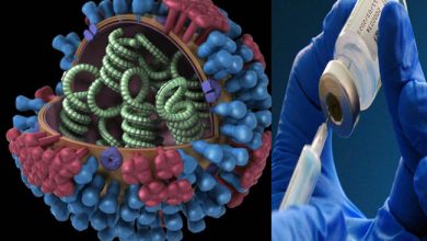 फ्लू जैसे वायरसों के लिए वैक्सिन बनाने का काम