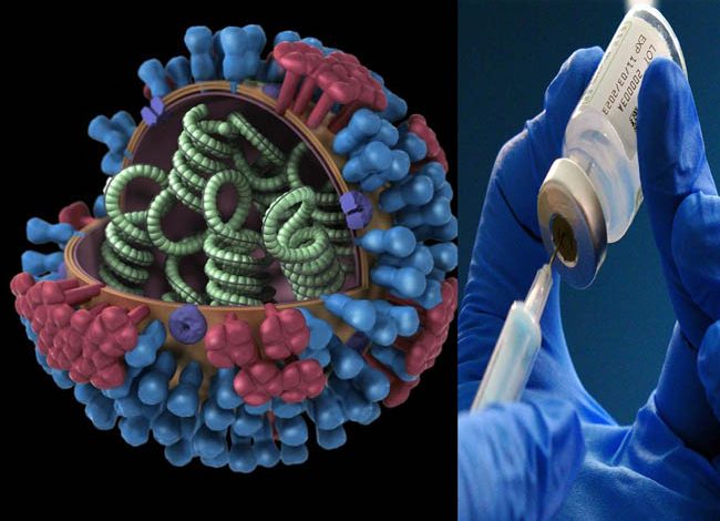 फ्लू जैसे वायरसों के लिए वैक्सिन बनाने का काम
