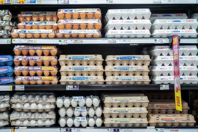फिलाडेलफिया इलाके में अंडे की कीमतों में जबर्दस्त बढ़ोत्तरी