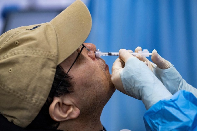भारत बॉयेटेक की नैजल वैक्सिन 26 जनवरी को लॉंच होगी