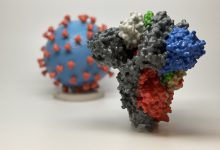जिंदा वायरस का थ्री डी मॉडल बनकर तैयार