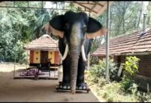 त्रिशूर मंदिर में अब असली नहीं यांत्रिक हाथी का उपयोग