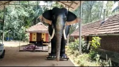 त्रिशूर मंदिर में अब असली नहीं यांत्रिक हाथी का उपयोग