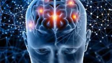 वैज्ञानिकों ने मस्तिष्क में विकसित किये इलेक्ट्रोड