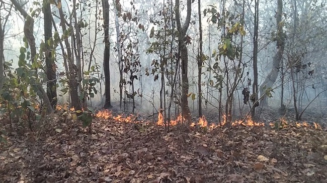 जंगल की आग रोकने में सक्रिय होंगे मुखिया भी