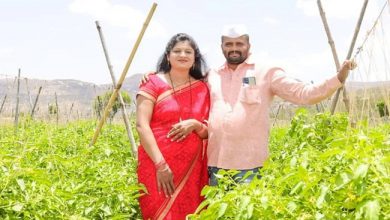 टमाटर बेचकर करोड़पति बन गया पुणे का किसान