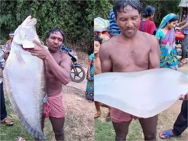 एक मछली बेचकर खुश हो गया स्थानीय मछुआरा