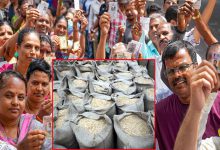 भारतीय चावल और विधानसभा चुनाव का रिश्ता