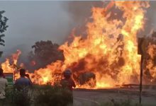 गाड़ी में आग लगने से चालक जलकर हो गया राख
