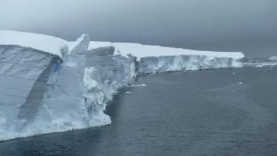 पश्चिम अंटार्कटिका में बर्फ पिघलने से रोकना अब असंभव