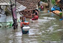 दक्षिण बंगाल में भारी बारिश के बाद सुंदरवन के इलाके चेतावनी