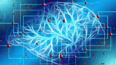 दिमागी चोटों के ईलाज की नई तकनीक खोजी गयी
