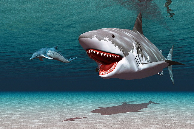 लौट सकता है विलुप्त प्रजाति का शार्क