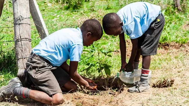 केन्या में पौधा रोपने के लिए वृक्षारोपण का अवकाश