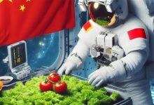 अंतरिक्ष में सब्जी उगाने में चीन को सफलता मिली