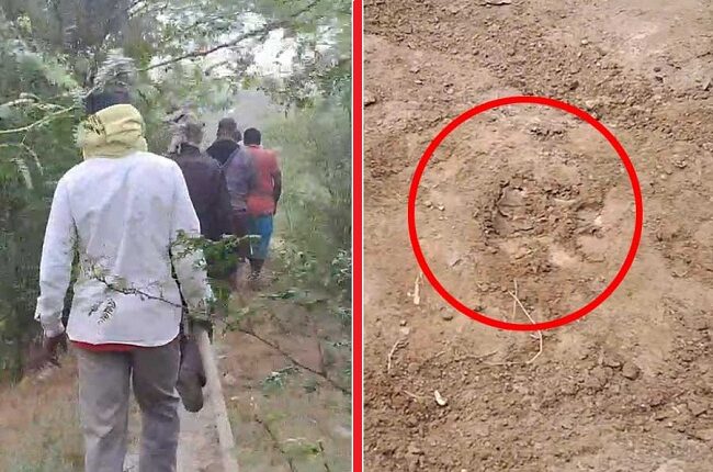 इस बार सुंदरवन के जंगल से बाहर निकल गया है बाघ